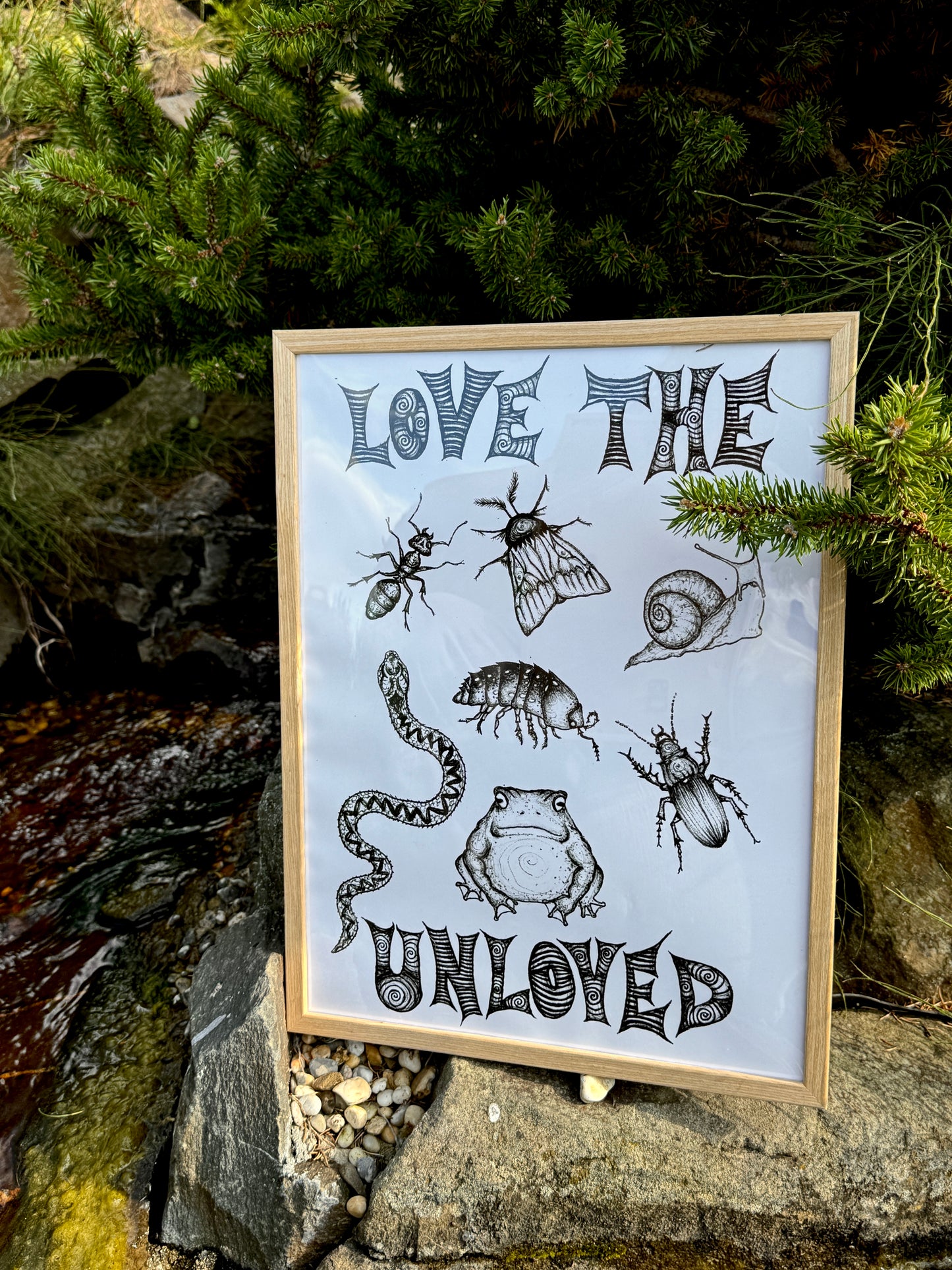 Love the unloved